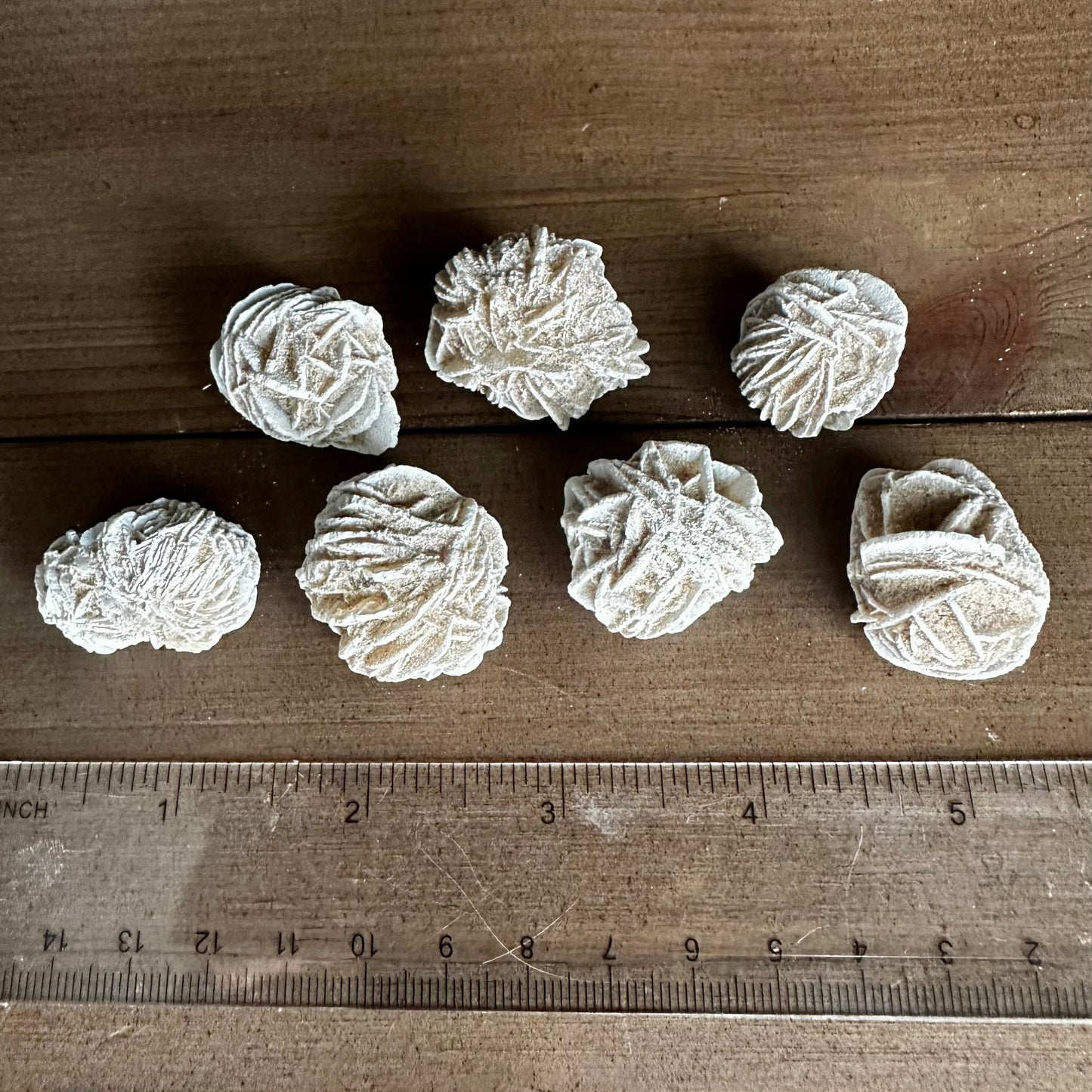 Desert Rose Selenite